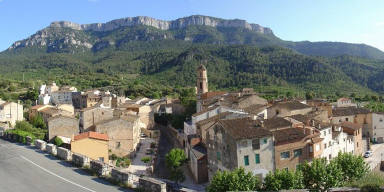 La Torre de Fontaubella celebra la Fira de plantes i flors aquest dissabte