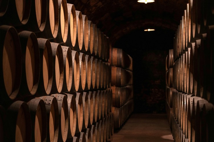 Diversos cellers i VITEC impulsen Winesmart, un projecte pioner per digitalitzar i optimitzar la criança del vi