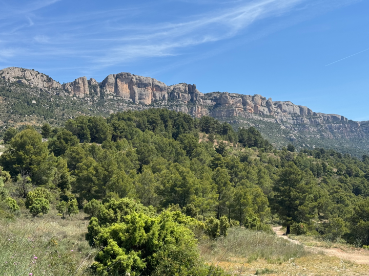 Arrenca la campanya forestal 2026
